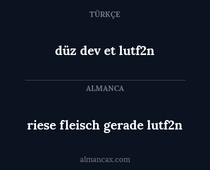 riese fleisch gerade lutf2n - düz dev et lutf2n