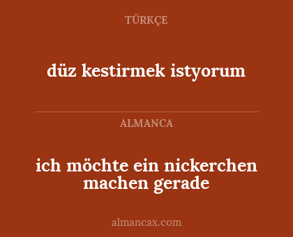 ich möchte ein nickerchen machen gerade - düz kestirmek istyorum