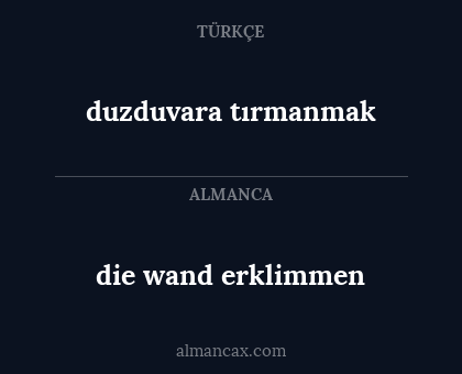 duzduvara tırmanmak - die wand erklimmen