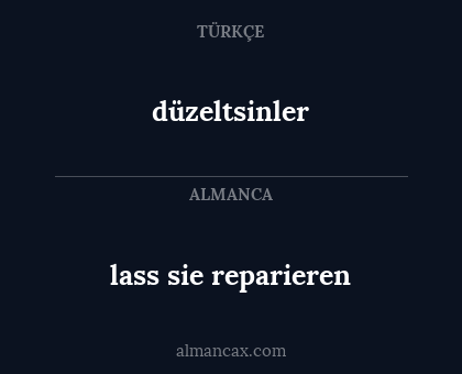 lass sie reparieren - düzeltsinler