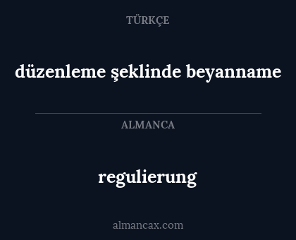 regulierung - düzenleme şeklinde beyanname
