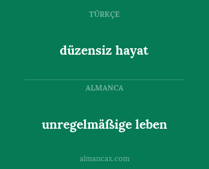 unregelmäßige leben - düzensiz hayat
