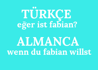 e%C4%9Fer+ist+fabian%3F-wenn+du+fabian+willst.png
