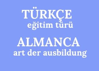 e%C4%9Fitim+t%C3%BCr%C3%BC-art+der+ausbildung.png