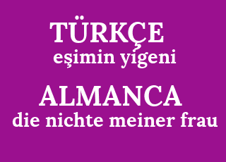 e%C5%9Fimin+yigeni-die+nichte+meiner+frau.png