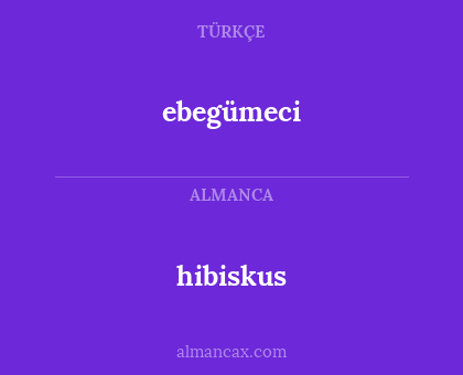 ebegümeci - hibiskus