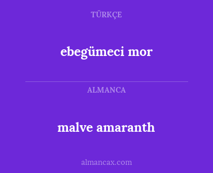 malve amaranth - ebegümeci mor