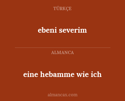 ebeni severim - eine hebamme wie ich