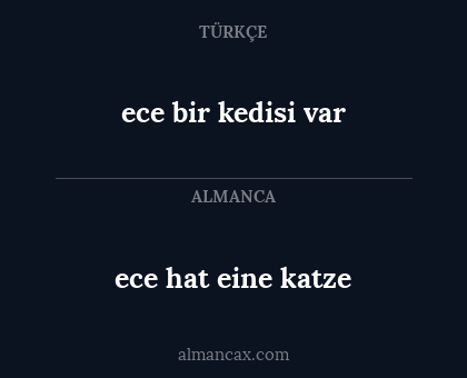 ece bir kedisi var - ece hat eine katze