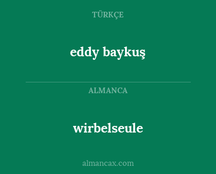wirbelseule - eddy baykuş