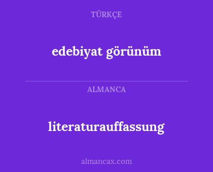 edebiyat görünüm - literaturauffassung