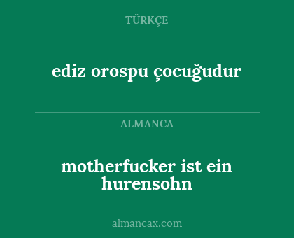 motherfucker ist ein hurensohn - ediz orospu çocuğudur
