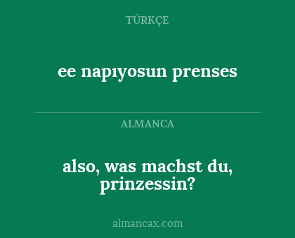 also, was machst du, prinzessin? - ee napıyosun prenses