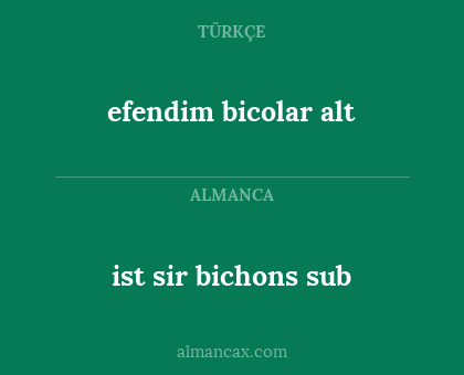 ist sir bichons sub - efendim bicolar alt