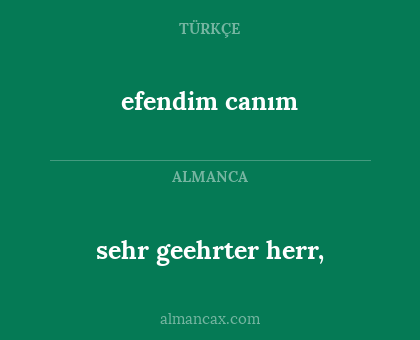 sehr geehrter herr, - efendim canım