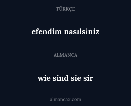 efendim nasılsiniz - wie sind sie sir