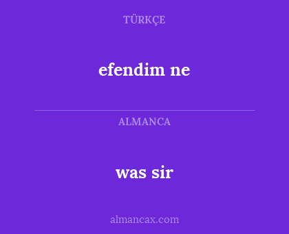 efendim ne - was sir