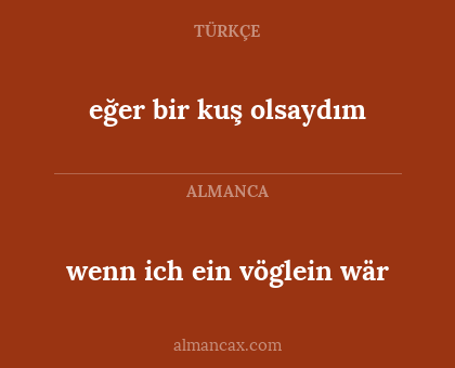 wenn ich ein vöglein wär - eğer bir kuş olsaydım
