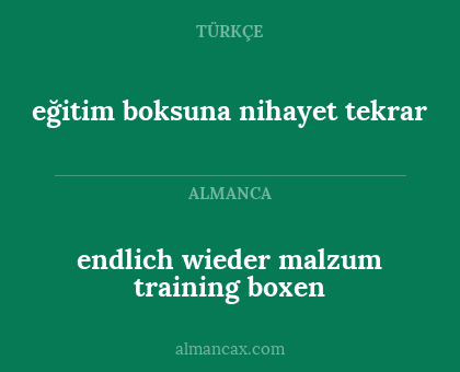 eğitim boksuna nihayet tekrar - endlich wieder malzum training boxen