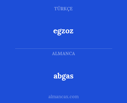 abgas - egzoz