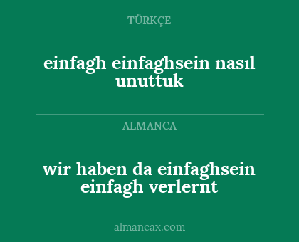 einfagh einfaghsein nasıl unuttuk - wir haben da einfaghsein einfagh verlernt