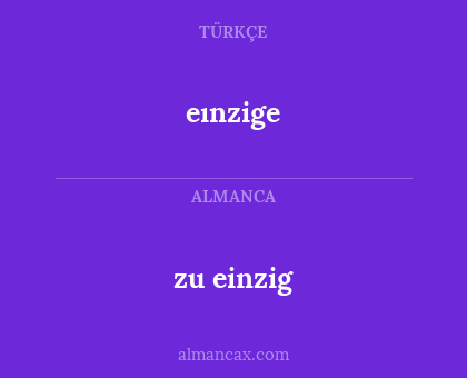 zu einzig - eınzige