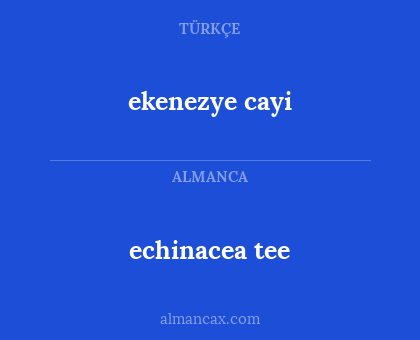 ekenezye cayi - echinacea tee