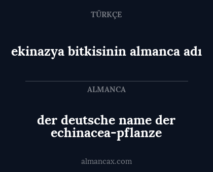 der deutsche name der echinacea-pflanze - ekinazya bitkisinin almanca adı
