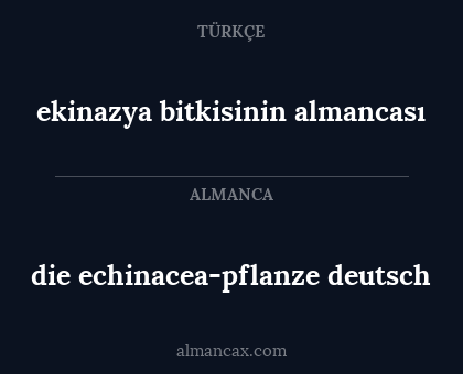 die echinacea-pflanze deutsch - ekinazya bitkisinin almancası