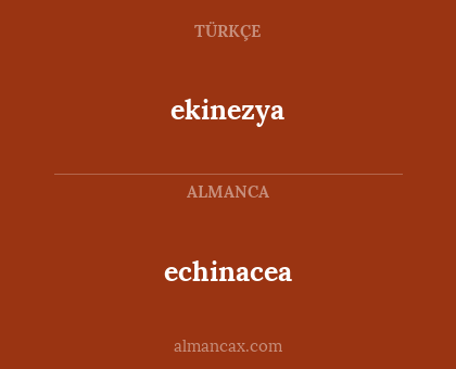 echinacea - ekinezya