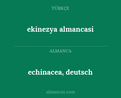 echinacea, deutsch - ekinezya almancasi
