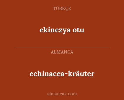 echinacea-kräuter - ekinezya otu