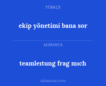 teamleıtung frag mıch - ekip yönetimi bana sor