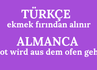 ekmek+f%C4%B1r%C4%B1ndan+al%C4%B1n%C4%B1r-brot+wird+aus+dem+ofen+geholt.png