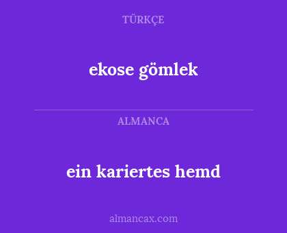 ekose gömlek - ein kariertes hemd
