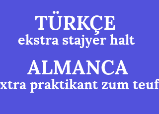ekstra+stajyer+halt-extra+praktikant+zum+teufel.png