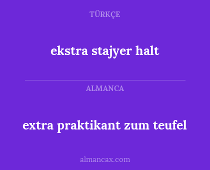 ekstra stajyer halt - extra praktikant zum teufel