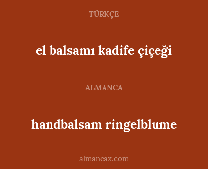handbalsam ringelblume - el balsamı kadife çiçeği