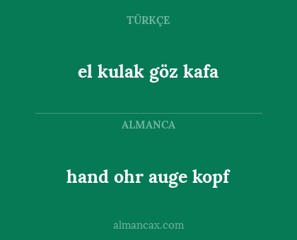 el kulak göz kafa - hand ohr auge kopf