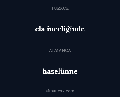 haselünne - ela inceliğinde