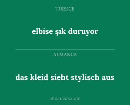 das kleid sieht stylisch aus - elbise şık duruyor
