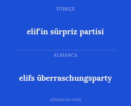 elifs überraschungsparty - elif'in sürpriz partisi