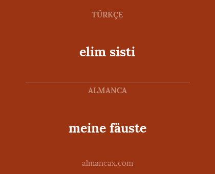meine fäuste - elim sisti