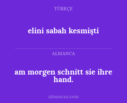 elini sabah kesmişti - am morgen schnitt sie ihre hand.