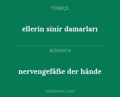 nervengefäße der hände - ellerin sinir damarları