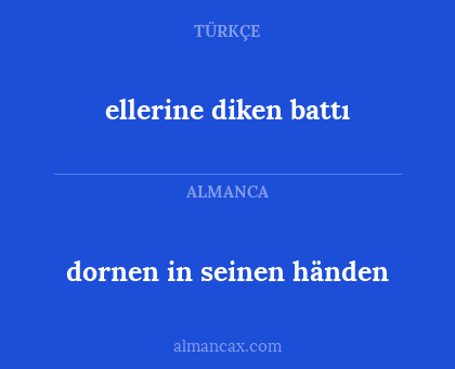 dornen in seinen händen - ellerine diken battı
