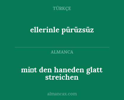mi̇t den haneden glatt streichen - ellerinle pürüzsüz