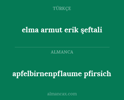 apfelbirnenpflaume pfirsich - elma armut erik şeftali