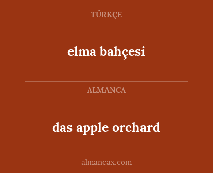 das apple orchard - elma bahçesi