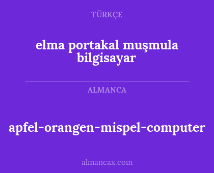 apfel-orangen-mispel-computer - elma portakal muşmula bilgisayar